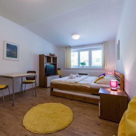 Apartman Lipno 20 Ліпно-над-Влтавою Екстер'єр фото
